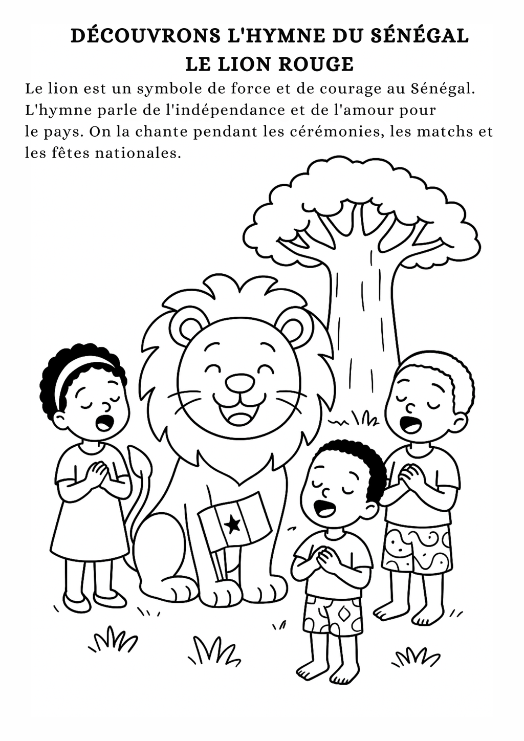 Carnet d'activités Sénégal